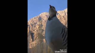 Neyine Güveneyim Yalan Dünyanın Keremi Yandırıp Kül Etmedimi