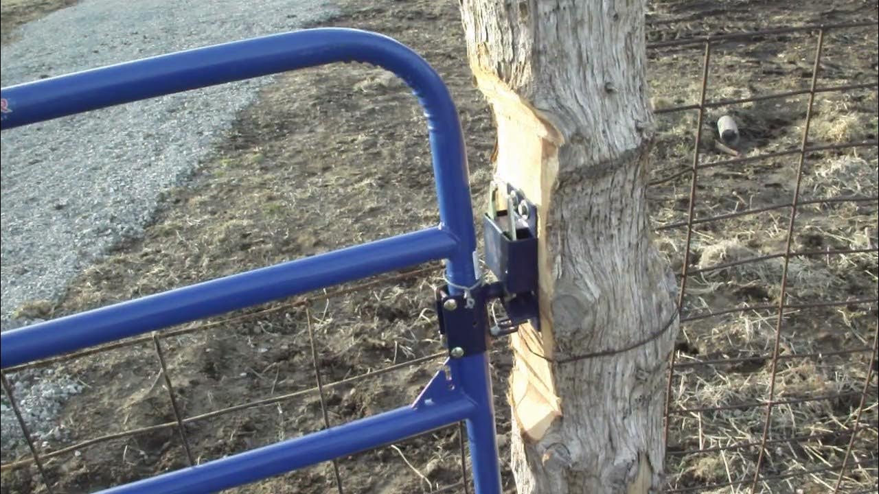 SPEECO 2 Way Gate Latch Lock YouTube