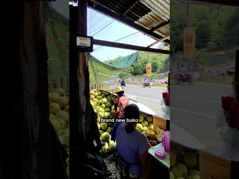 Fresh Coconut Water Philippines Philippines Philippinesvlog Buko Coconutwater Short Shorts 