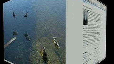 Ubuntu with Compiz Fusion