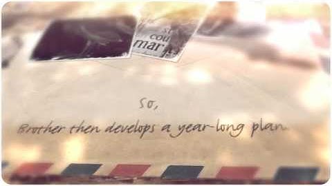 The Scarlet Ibis summary