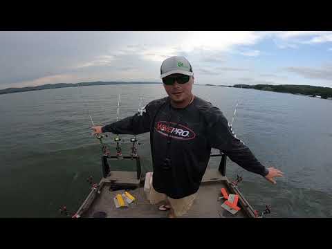 Best Overall Catfishing Technique
