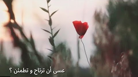 سورة يوسف ||القارئ سالم الرويلي♡ تلاوة جميلة وهادئة ❤سبحان الله 🌹