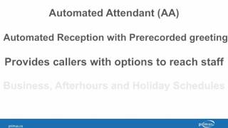 Primus Hosted Phone System - Auto Attendant: Overview