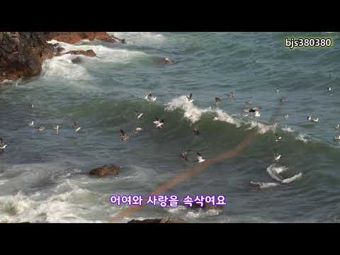 <strong>가수</strong> 민영아 [신곡] 어여오세요 (가사삽입) 대왕암공원 일출 갈매기