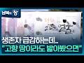 남북의 창 얼마 남지 않았는데 화폭에 담긴 간절한 그리움 통일로 미래로 KBS 2026 02 28 