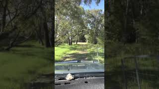 All 22 Under Expression Of Interest Prior To Market Launch Duel Key Opportunity