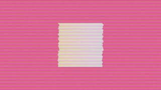 animal - official audio