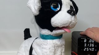 Toys Under High Voltage - Bowie Your Real Kissing Pup - Club Petz