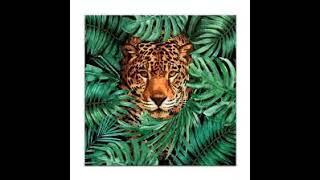 Download Lagu Ganjan - JUNGLE 2025 2 part 1 MP3