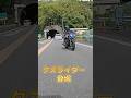 路側帯走行 自動車専用道路 バイパス すり抜け 渋滞中のクズライダー バイカス バイク乗りの交通違反 ドラレコ 危険運転 バイク 映像 #Shorts