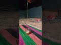 طاسة شاهي خضراء في البر على كيف كيفك