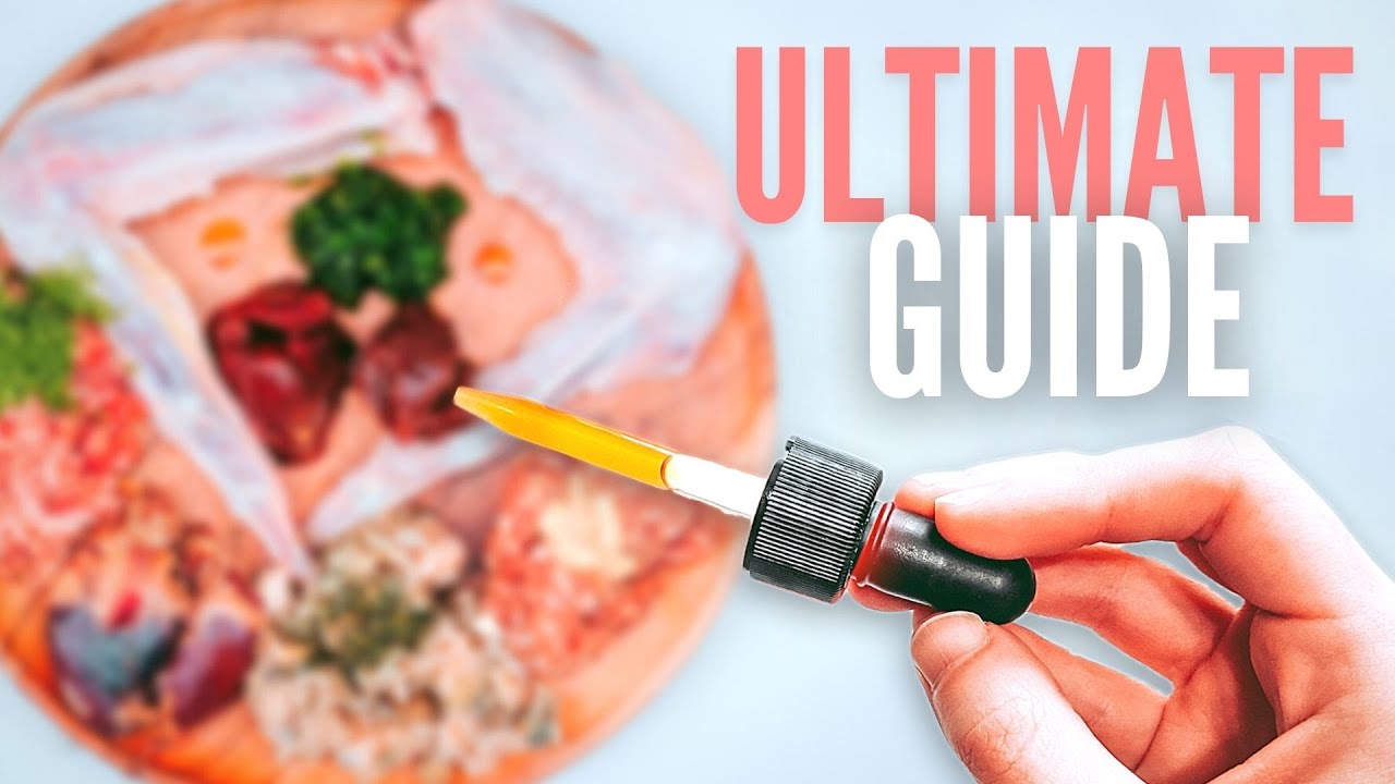 The Ultimate Guide To Supplementing Raw Food YouTube