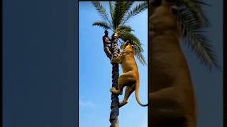 Plz God Help Mefyp foryou