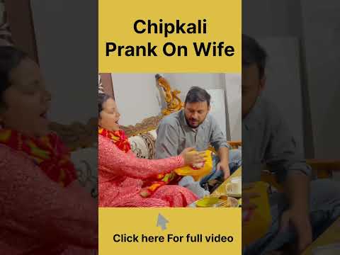 Scary Lizard Prank On Wife Shorts Funny Viral 