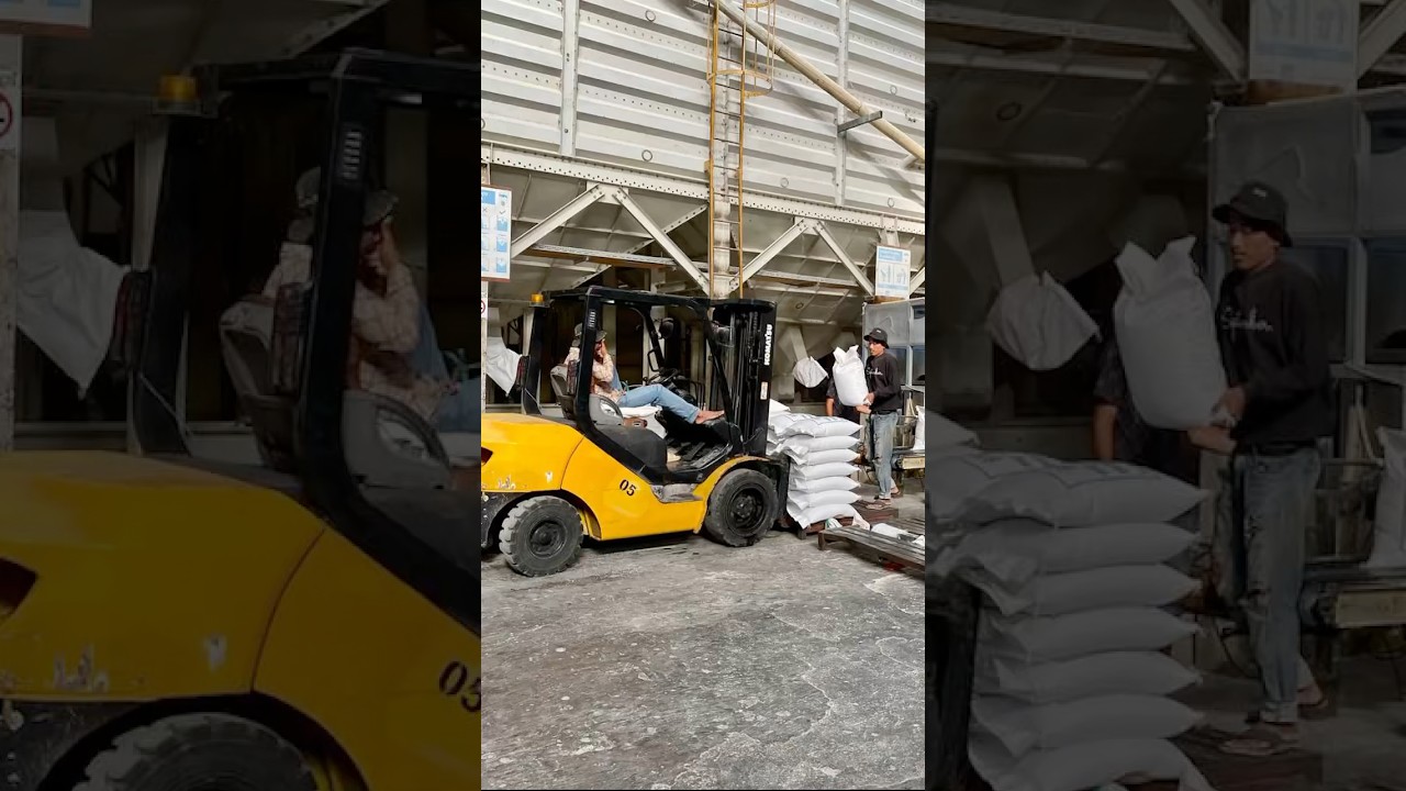 Rice production working 