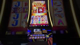 Real casino slot machine game play. Buffalo slot machine screenshot 4