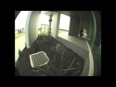 Shane O'Neill's "Shane GOES" part