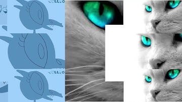 11 Shuric Scans With Are Slides V479 Going Left Version