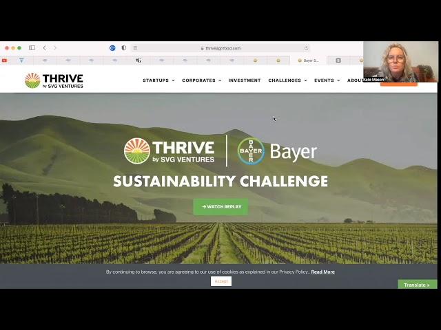 Corporate Food Takeover Ep 2