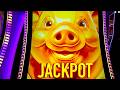 NEW PIG GAME NEW JACKPOT!!!!!!!!!!!