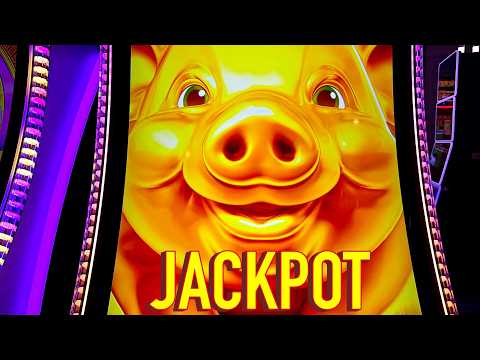 NEW PIG GAME NEW JACKPOT!!!!!!!!!!!