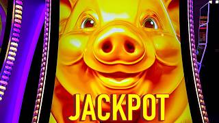 NEW PIG GAME NEW JACKPOT!!!!!!!!!!! screenshot 1