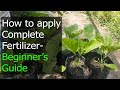 How to use Complete Fertilizer- Beginner's Guide Part 1