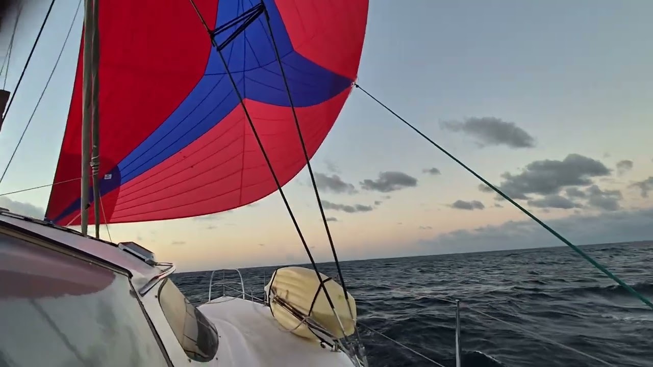 Approaching the Gold Coast. Yamba to Gold Coast sail.