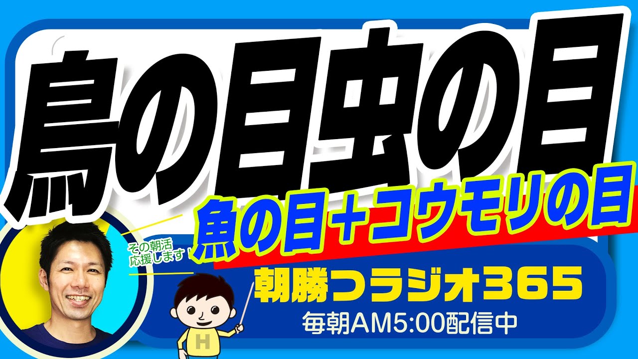 事業を作り上げるうえで大切な視点 鳥の目 虫の目 魚の目 コウモリの目 平ちゃんの朝勝つラジオ365 22 11 14日号 朝活 330 Youtube