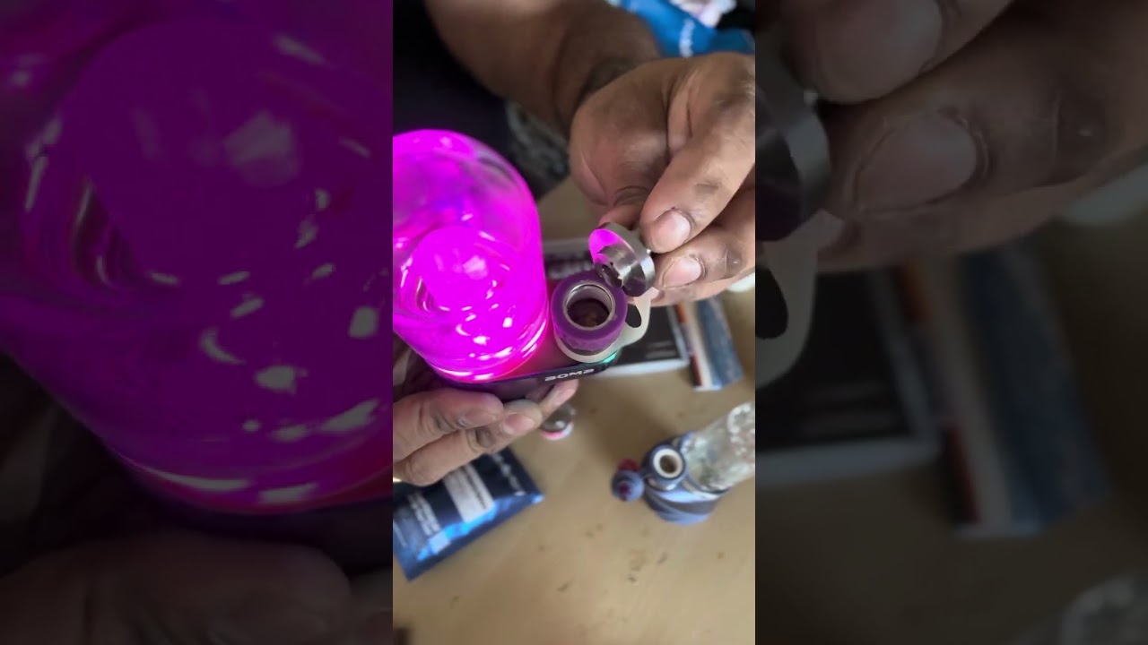 Papaya berry thca live rosin from shophellomary