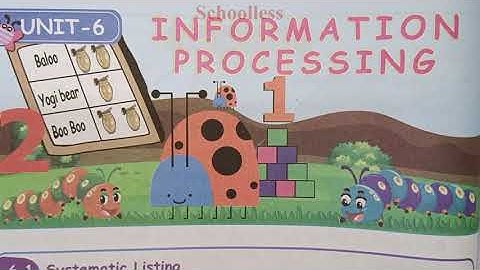 4th std Maths Unit-6 Information Processing| Ex 6.1  Sum ANSWERS| TN samacheer class 4 |Schoolless