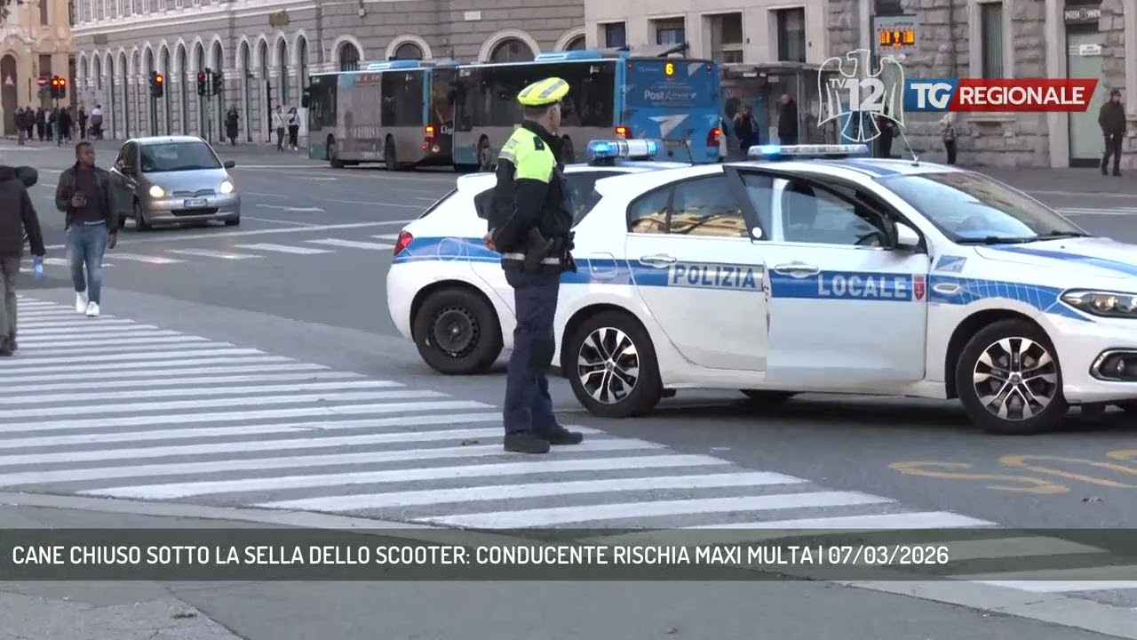 CANE CHIUSO SOTTO LA SELLA DELLO SCOOTER: CONDUCENTE RISCHIA MAXI MULTA | 07/03/2026