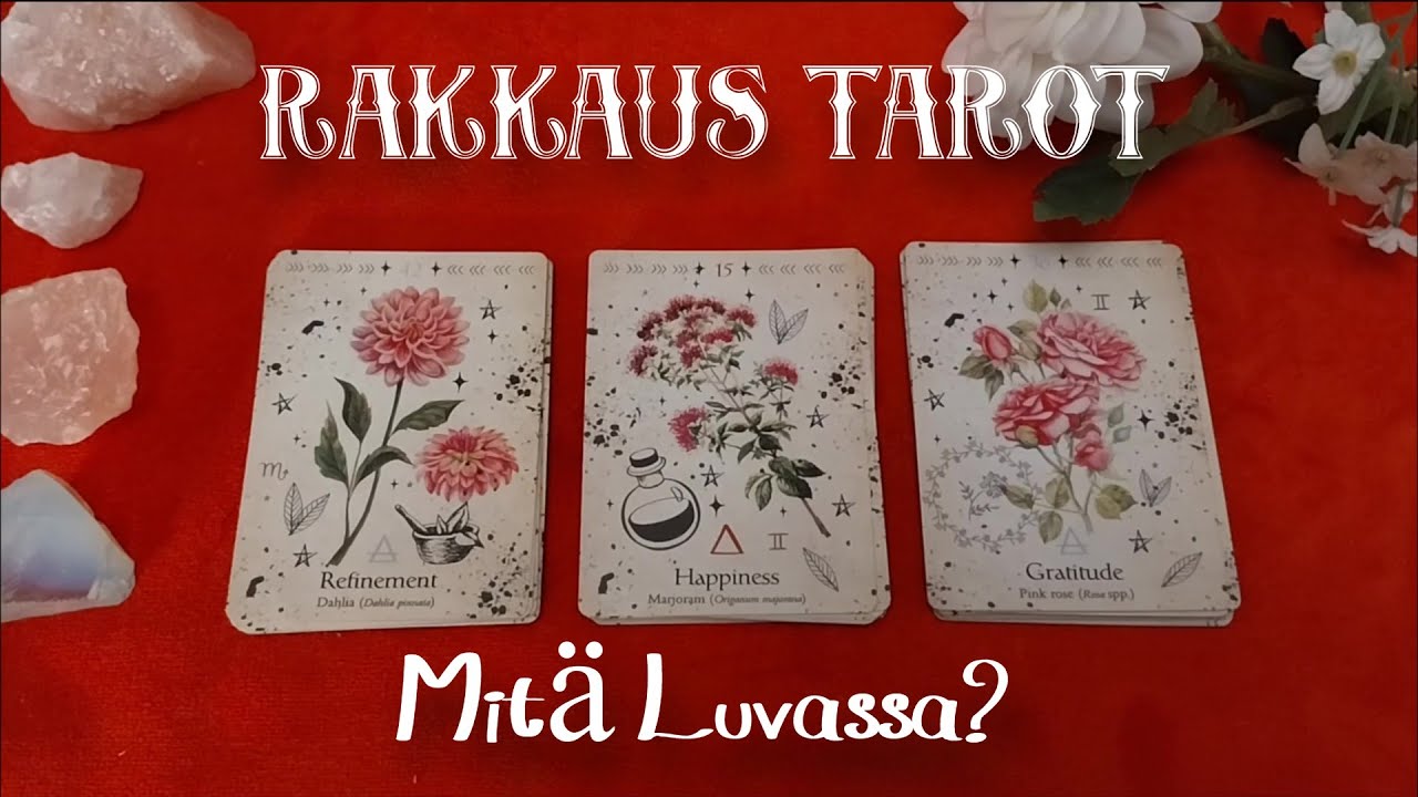 💘Mitä Seuraavaksi Rakkaudessa?💘 Ajaton⁂Valitse Kortti⁂RAKKAUS💖TAROT💖