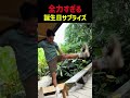 誕生日を本気で祝いすぎる店員さん