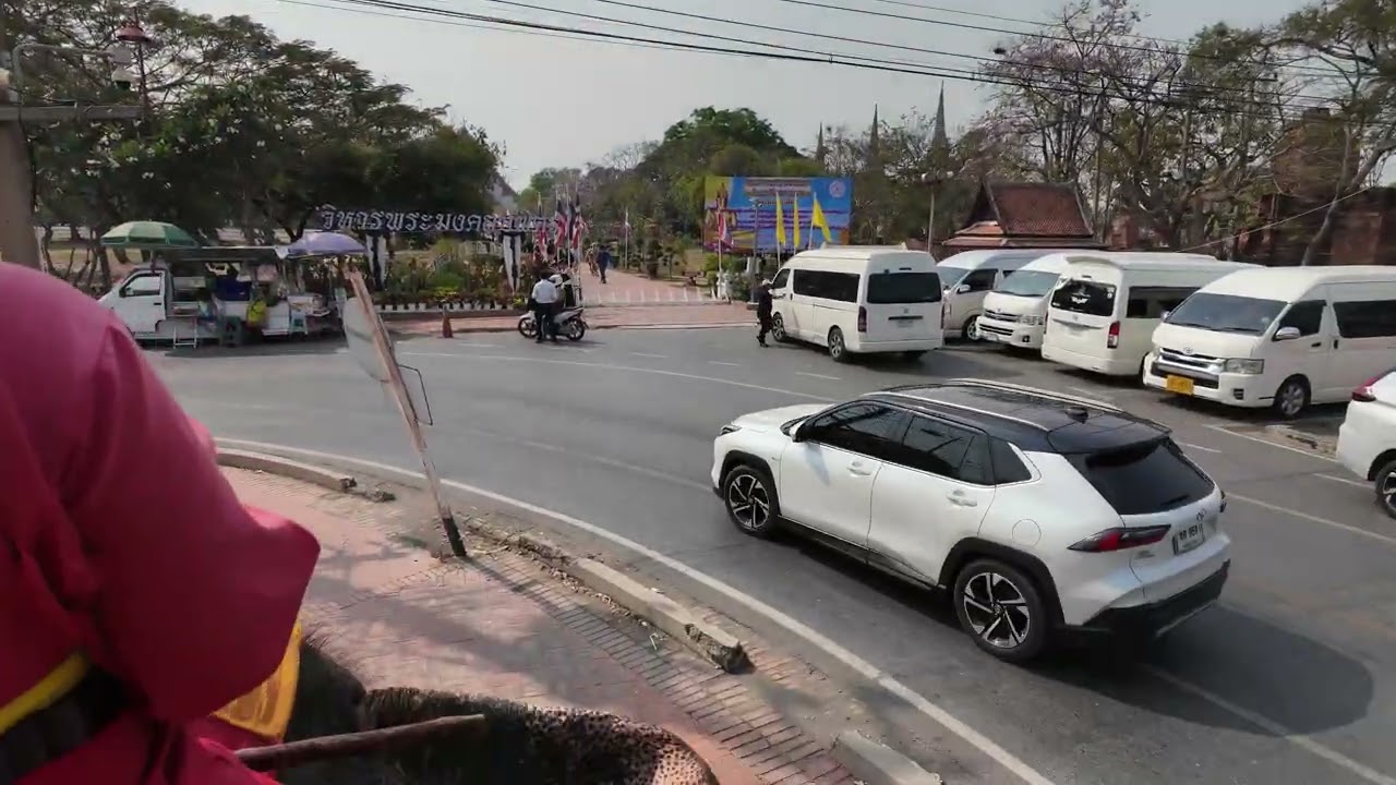Elephants with Dao and her Mom