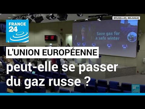L'UE peut-elle se passer du gaz russe ? L'Europe se prépare au pire • FRANCE 24