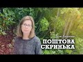 Поштова Скринька - Ліна Костенко