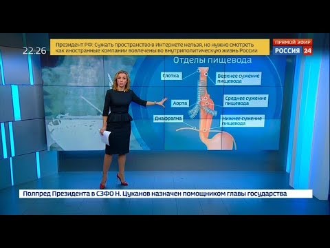 Екатерина григорова телеведущая в купальнике плейбой