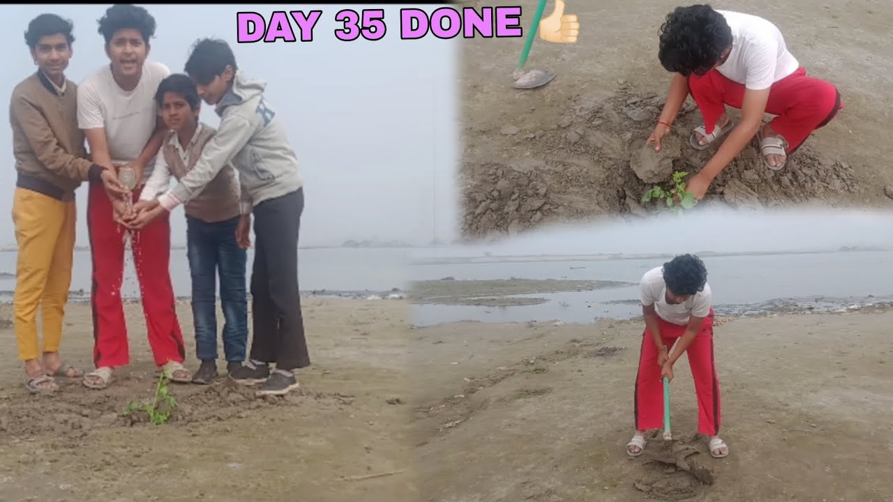 🌳DAY 35 AQI LEVEL FOR DELHI PLEASE HELP THIS MY WORK ....🌲