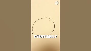 Why Ants Can’t Cross Pen Lines? 🐜🔍🖊️ #animals #alienspecies