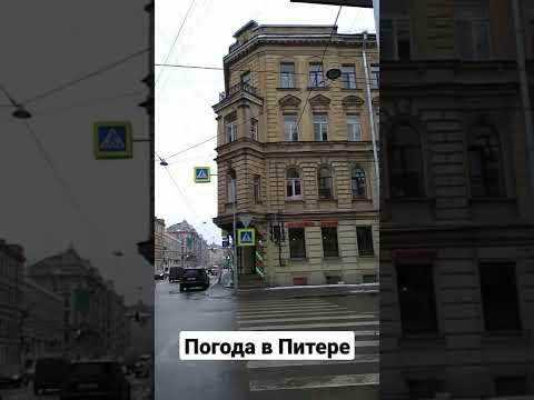 в Питер пришла весна? погода в Питере #shorts