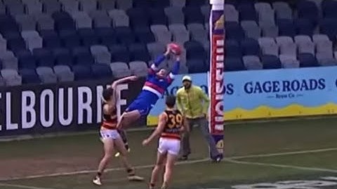 Josh Bruce Mark Of The Year Contender - Bulldogs Vs Adelaide Round 20