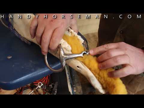 Thumbnail for The Best Horse Bit!