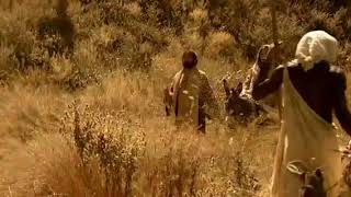 Hwamanda Yedenga 2018