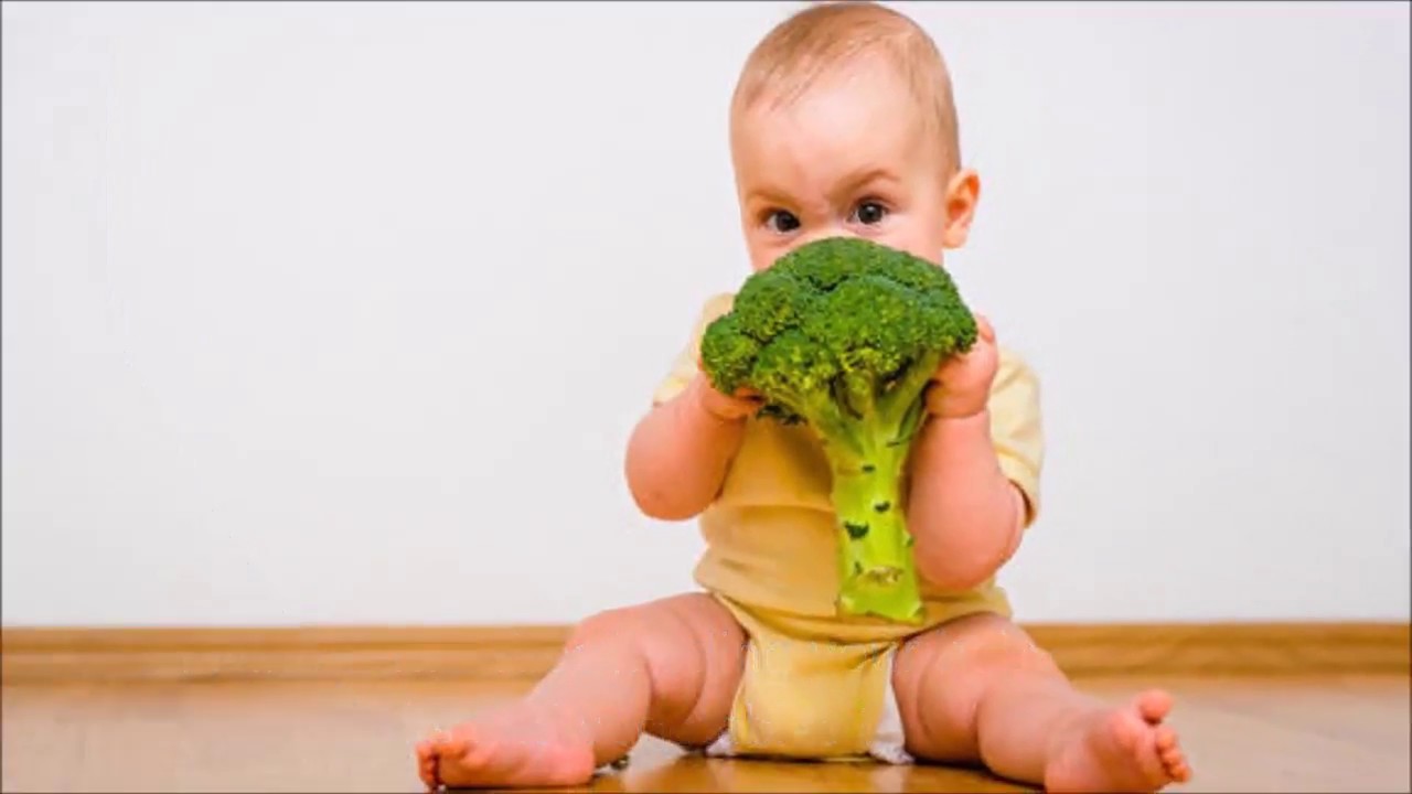 naturebond baby fruit feeder