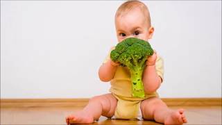 NatureBond Baby Fruit Feeder