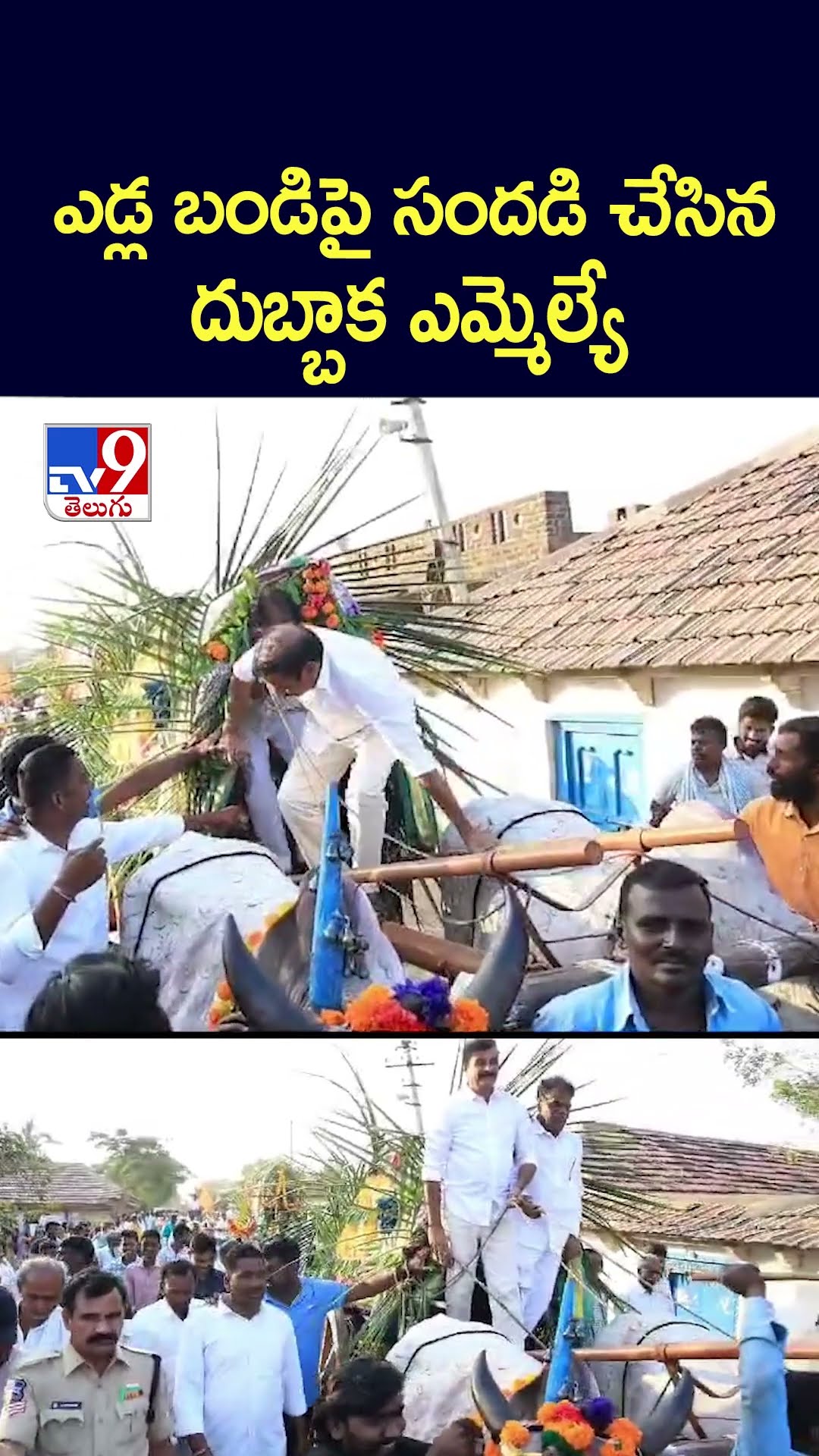ఎడ్ల బండిపై సందడి చేసిన దుబ్బాక ఎమ్మెల్యే - TV9