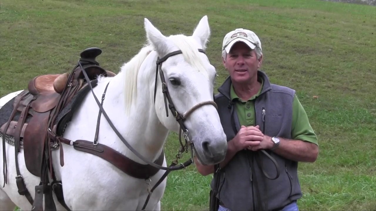 Doug Fout: How do the Horses get ready for Race day? - YouTube
