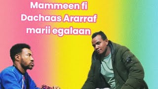 August 18, 2024 Mammee Fi Dachaas Lollaa Waliitii Banan Jiduu Dhabaa